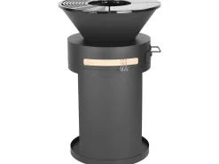 Barbecue plancha brasero a charbon et bois