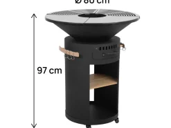 Barbecue plancha brasero à charbon et bois