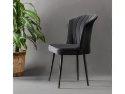 Ensemble de chaises (2 pièces) en bois
