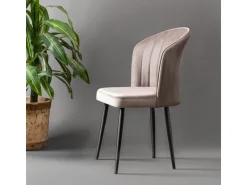 Ensemble de chaises (2 pièces) en bois 