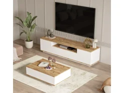 Ensemble de meubles de salon en bois