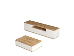 Ensemble de meubles de salon en bois