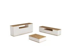 Ensemble de meubles de salon en bois