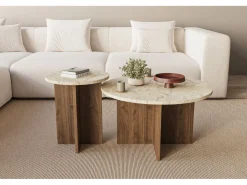 Ensemble de table basse en bois