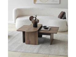 Ensemble de table basse en bois