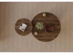 Ensemble de table basse en bois 