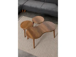 Ensemble de table basse en bois