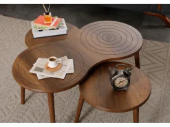 Ensemble de table basse en bois