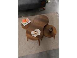 Ensemble de table basse en bois