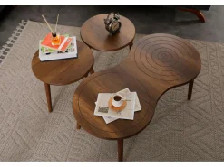 Ensemble de table basse en bois