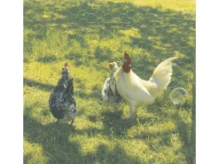 Grillage métallique -