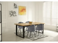 Lot de 2 chaises en tissu 