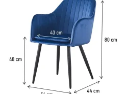 Lot de 2 chaises 