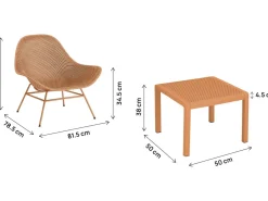 Lot de 2 fauteuils de jardin avec table basse