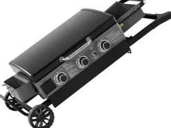 Plancha à gaz avec chariot pliable et portable