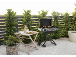 Plancha à gaz avec chariot pliable et portable