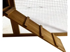 Poulailler avec pondoir en bois