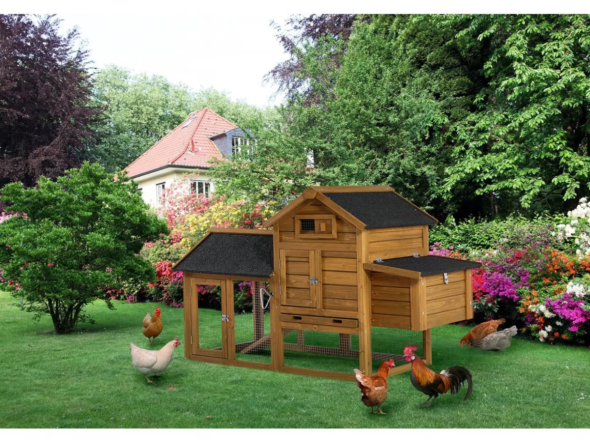 Poulailler "Poulette" avec pondoir en bois - Marron