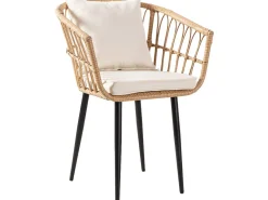 Salon de jardin rotin 