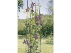 Support  décoratif - 