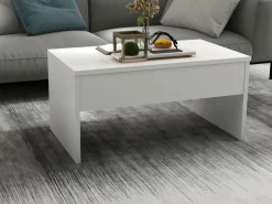 Table basse avec coffre de rangement en bois