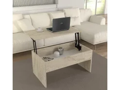 Table basse avec coffre de rangement en bois