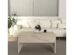 Table basse avec coffre de rangement en bois