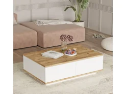 Table basse en bois 
