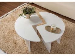 Table basse en bois 