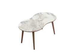 Table basse en bois 