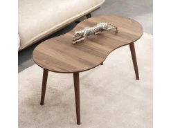 Table basse en bois 
