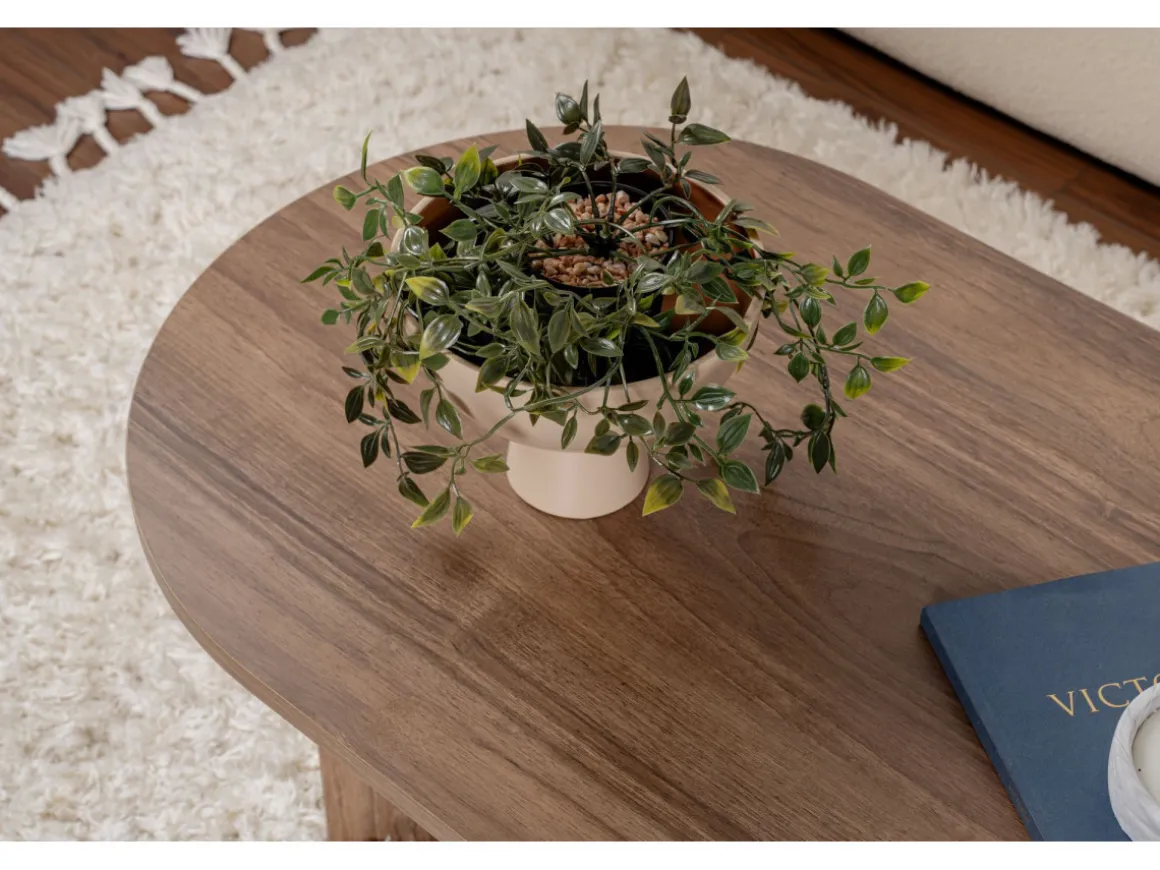 Table basse en bois "Sable" - 60 x 119 x 40 cm - Noyer
