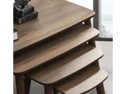 Table gigogne (4 pièces) en bois 
